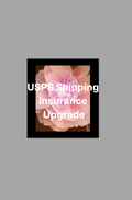 USPS Shipping Insurance Upgrade